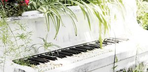 Påverkas växter av musik?